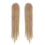 Glam Fringe Earrings